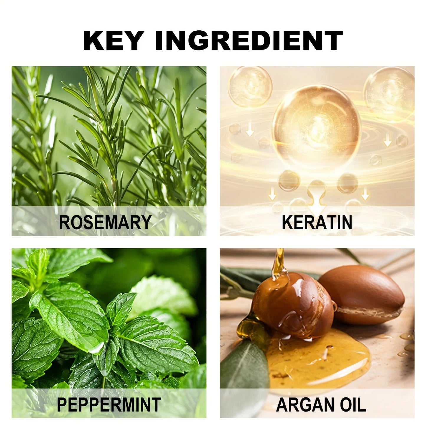 S634d810567b04f61ae05952a14b1ceddl